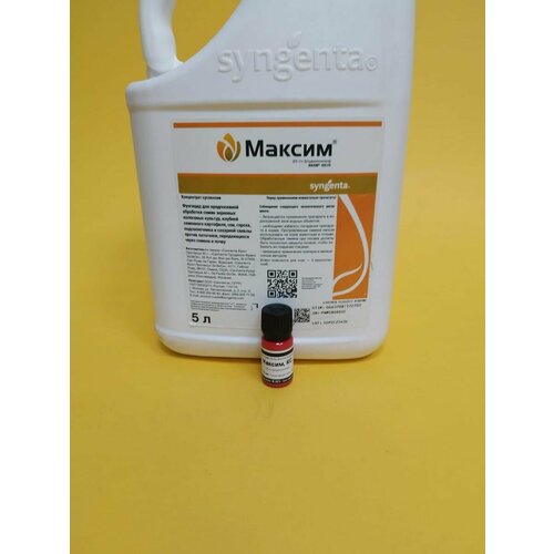 ������ ������ ������������ ������ 10 �� ����