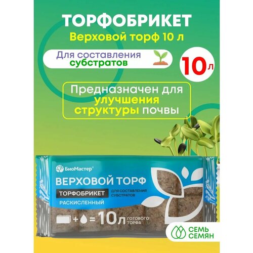 ������ ������ ����������� 