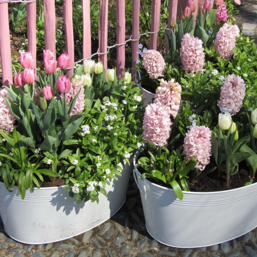 ������ ������ ������� �������� �������� (2 ��) ����