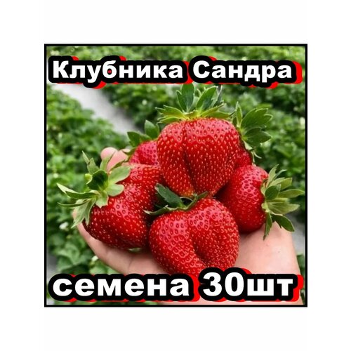 ������ ������ ������ �������� ������ 30�� ����