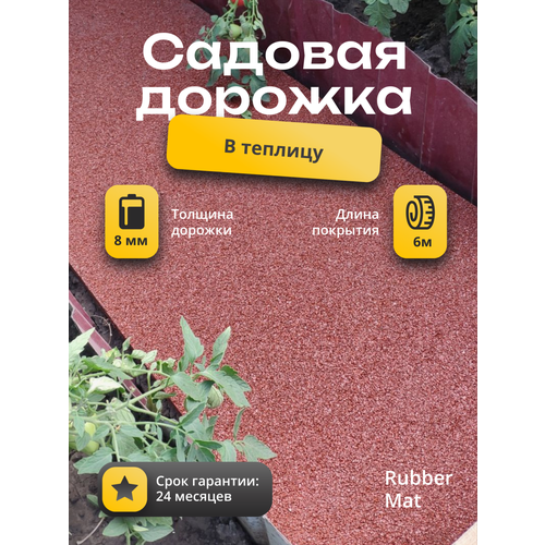 ������ ������ ��������� ������� �������. �������� ��� ������� ���. ������ ��� ��������. �������� 6� �� 50��. ���� ��������. ����� ���. ����