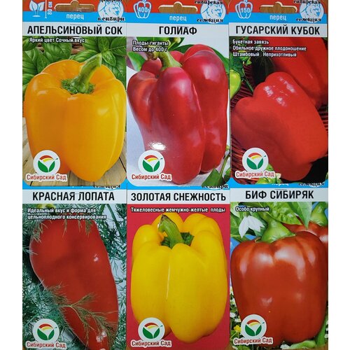 ������ ������ ����� �� 6� ������, �������, ��������� ������ ����� �� �� ��������� ��� ����