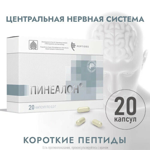 ������ ������ �������� ����., 0.2 �, 20 ��. ����