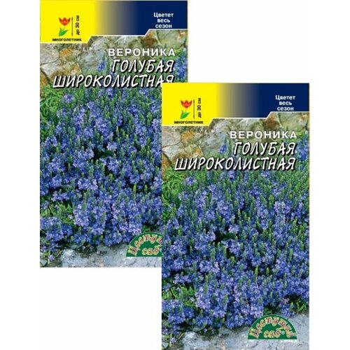 ������ ������ �������� ������� ������������� (0,1 �), 2 ������ ����