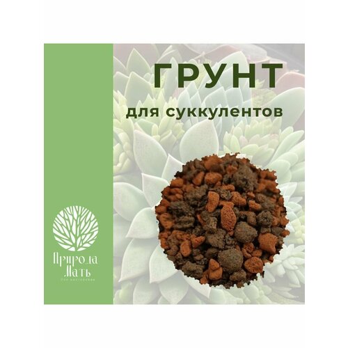 ������ ������ ����� ��� ����������� � �������� ����