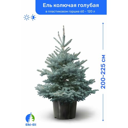 ������ ������ ��� ������� ������� 200-225 �� � ����������� ������ 60-120 �, �������, ������� ����� �������� ����