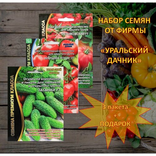 ������ ������ ����� ����� �� 3�� �� ����� 