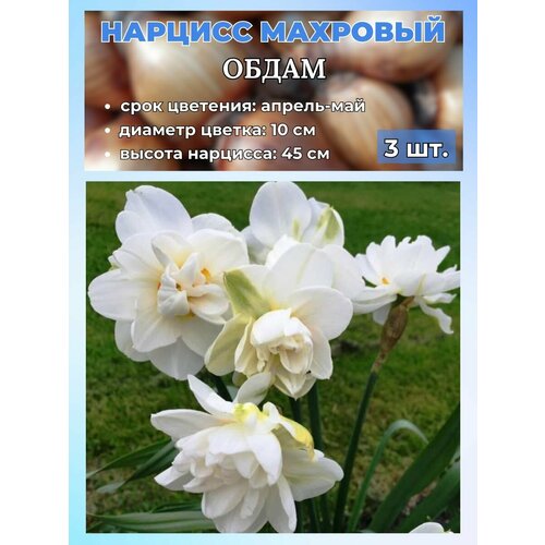 ������ ������ ������� ��������. �������� 3 ����� ����