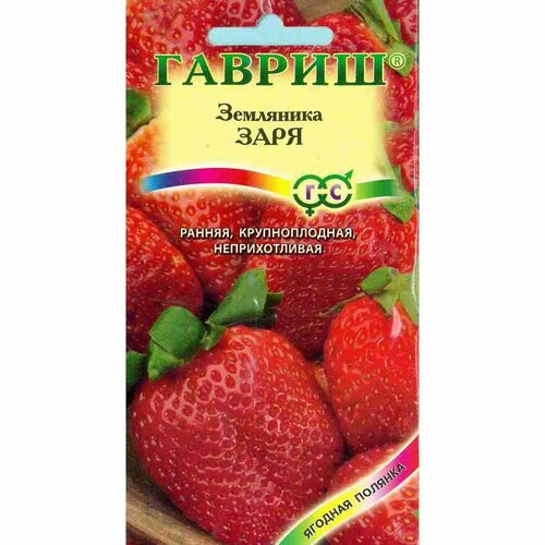 ������ ������ ������ ��������� ���� (������) 10�� ����