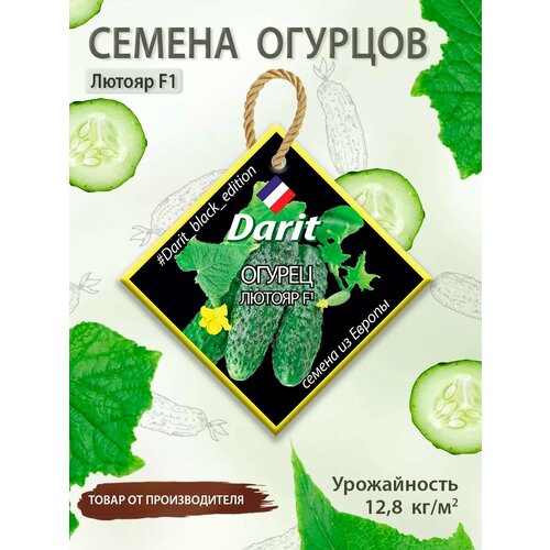 ������ ������ ������ ������� ������ F1 Black Edition ����