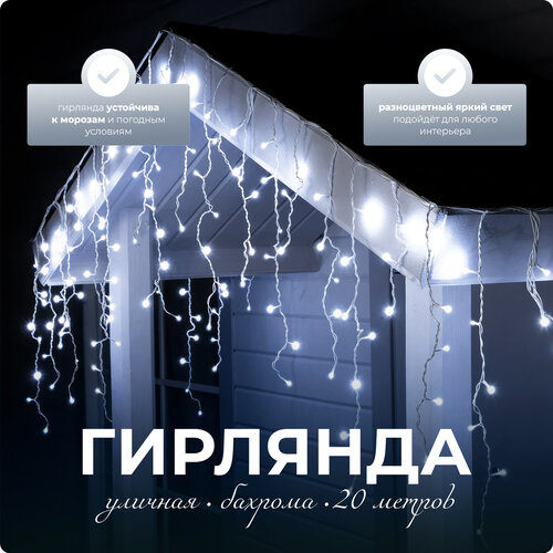 ������ ������ �������� ����� SXLT Company, �������� ����, 20 � ����