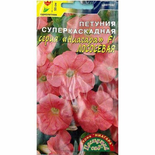 ������ ������ ������ ������� ������� ��������� F1 �������������� (����������) (�������� ���) 10�� ����