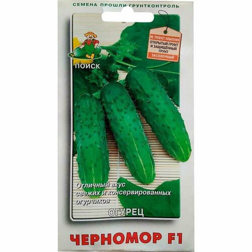 ������ ������ ������ ������ �������� F1 12�� ������������������ ������ (�����) ����