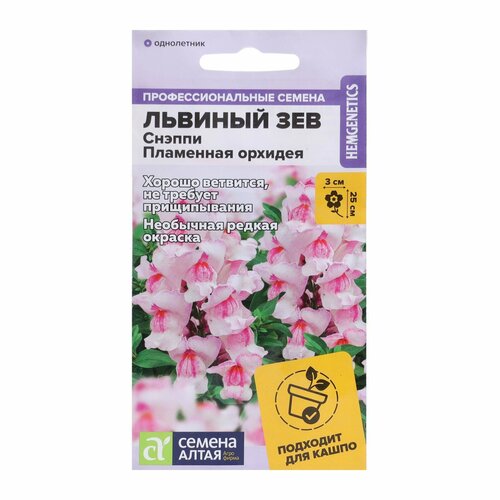 ������ ������ ������ ���������� (������� ���) ������ ��������� ������� 7�� ��� 25�� (������ �����) ����