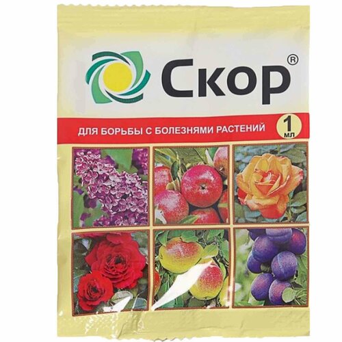 ������ ������ ����, �������� ��� ������ �������� � ������� ������� �� ��������� ��������, 1 �� ����