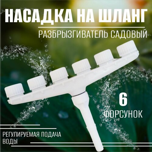 ������ ������ ������� �� ����� ��� ������ 6 ����, ��������������� ������� ����