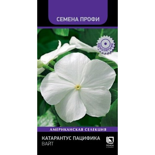 ������ ������ ������ ���������� �������� ���� 10�� (�����) ����