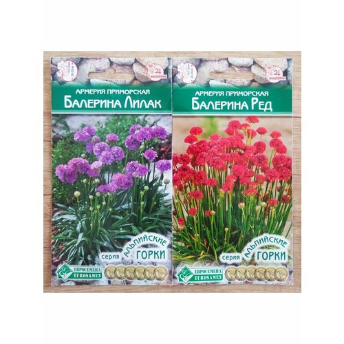 ������ ������ ����������� ��� ���������� ����� ������� ����� � ��� ����