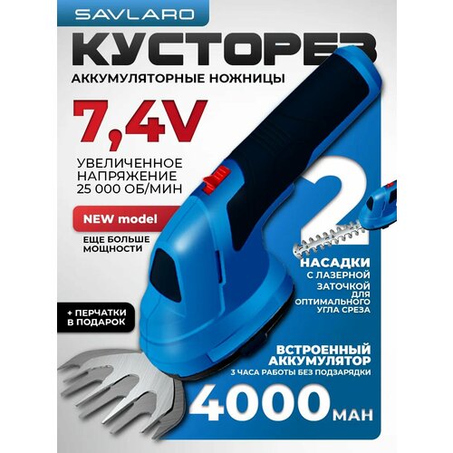 ������ ������ �������� Savlaro, ��������������, �������, 2 ������, 7,4 �, ���������� ��� ����