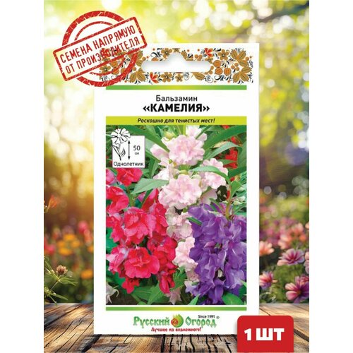 ������ ������ ������ ��������� �������, ����� ����