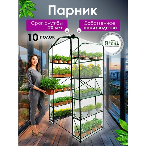 ������ ������ �������� ������� 10 ����� �����, ������ ��� �������, ������� ��� ����, ������� � �������� ��������, ������ � ���. ����