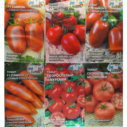 ������ ������ ����� �� 6 ����� ����� ����� ������ ������� ����� ���������� � ����������� �� ����� ����