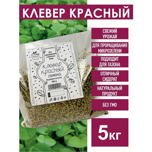 ������ ������ ������ ������� ������ ��� ������������, 5 ��. ����