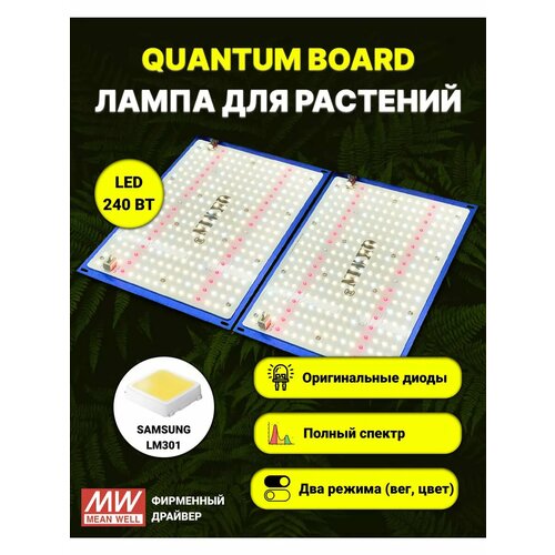 ������ ������ �������������� ��� ��������, 240 ����, LM301b, ������ ������ ����