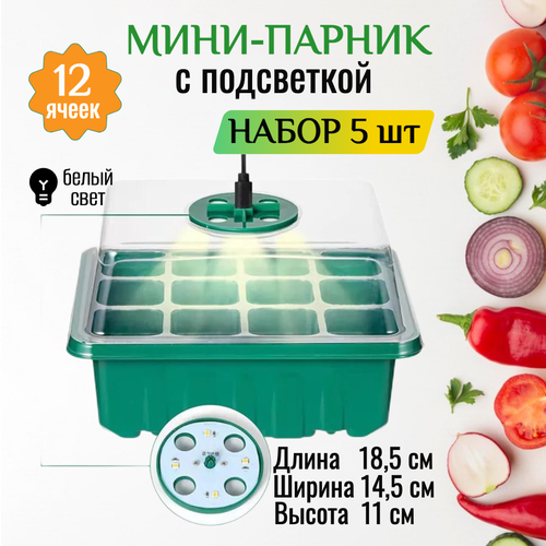 ������ ������ ����-������ � ���������� ��� ������� �� ����������-5 ��. ������� ��� ����� ����� ����� ��� ����������� ������� ����