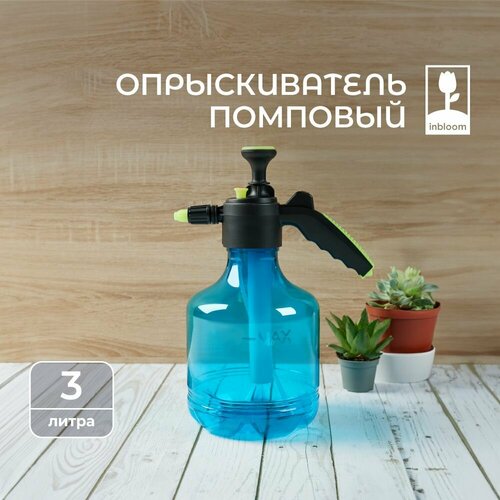 ������ ������ ������������� �������� 3 �����, ����� ����