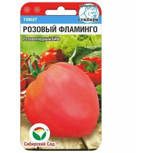 ������ ������ ������ ������� ������� �������� (1 ��������-20�� �����) ����