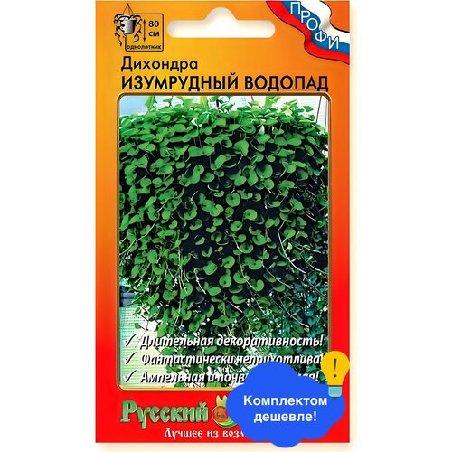 ������ ������ ����� �������� ���������� ������� F1 ����