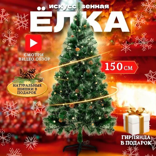 ������ ������ ������������� ���� ���������, �� ���, 150 ��, ��������, ����� ����