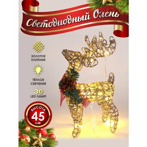 ������ ������ ����� ���������� ������������ ���������� 40 �� ������� ����