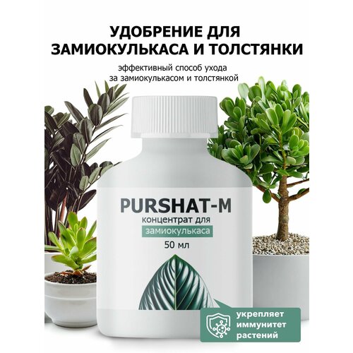 ������ ������ ��������� ��� ������������� � ��������� ������-� ���������� 50 �� ����