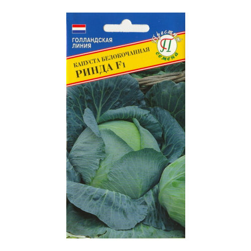 ������ ������ ������ ������� ������������ ����� F1 10�� (�������) ����