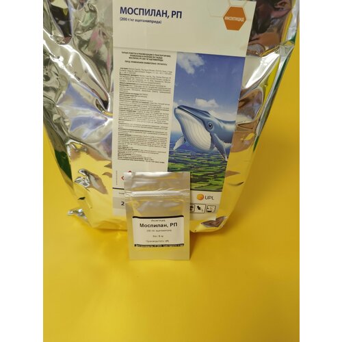 ������ ������ ���������� �������� 5 �� ����