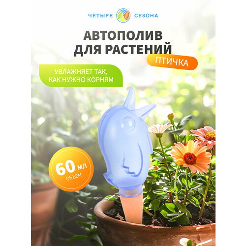������ ������ ����������� ����� ������ ������ 