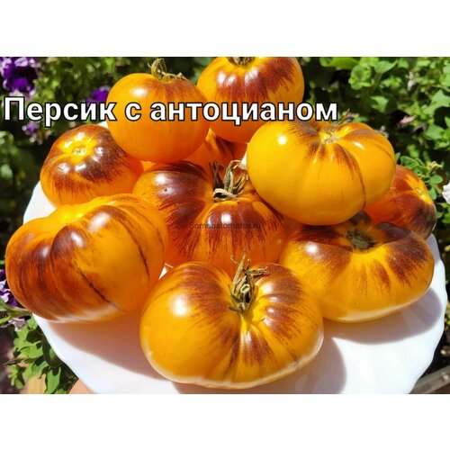 ������ ������ ������������� ������ ������ ������ � ���������� ����