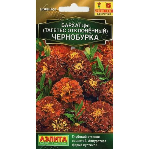 ������ ������ �������� ���������� ����������� ����