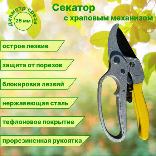 ������ ������ ������� � �������� ���������� ��� ���� � ������� . ������ ������� �������. �������� . ����