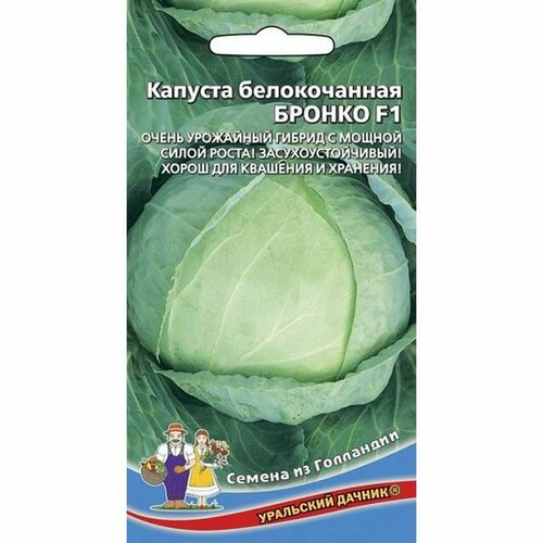 ������ ������ ������ ������� ������������ ������ F1, ������������, (���������) 12�� ����