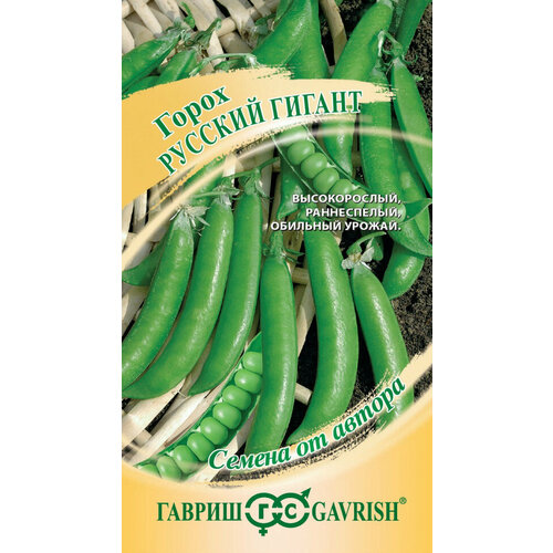 ������ ������ ������ ����� ������� ������, 10,0�, ������, ������ �� ������, 10 ��������� ����