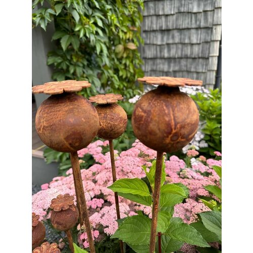 ������ ������ ������� ����� ���� ��� ���� 5-105 ����