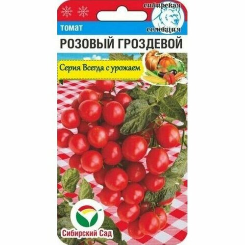 ������ ������ ������ ����� ������� ��������� (������������) ��. (��������� ���) 20�� ����