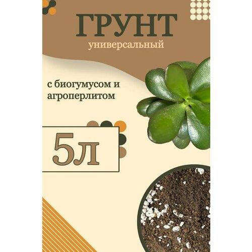 ������ ������ ����� ������������� �� GOLD GARDEN, ��� ��������� � ������������ ��������, 5 ������ ����