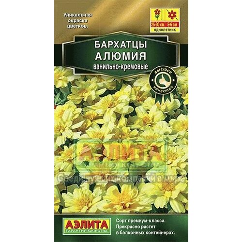 ������ ������ ������ �������� ������ ��������-�������� ����������� 10 �� (�����) (������) ����