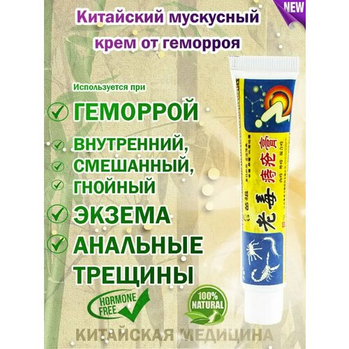 ������ ������ ���� �� �������� ��������� ����