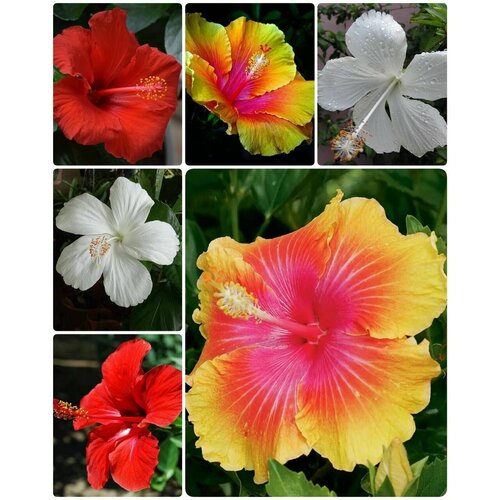 ������ ������ ������ ��������� ������ �������� ����������� ����� �� ��� ��������� ����