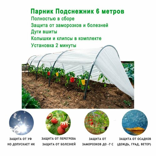 ������ ������ ������ ������� ���������� ������������, 6 ������ / ������ ��� ������� ����